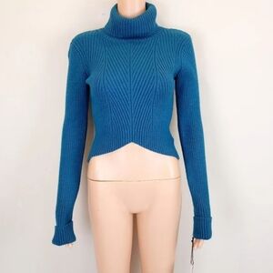 Sincerely Jules Turtleneck long sleeve Cropped Sweater